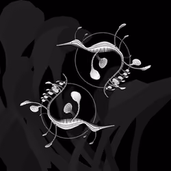 Seadragons #524