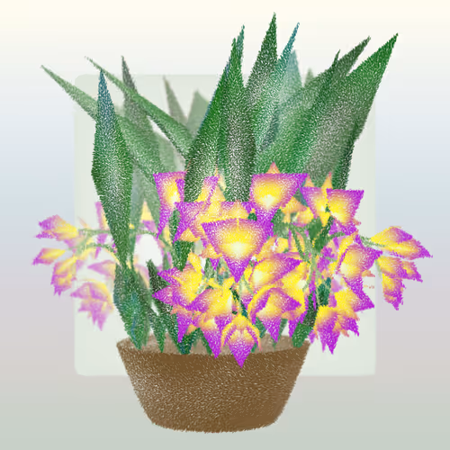 Cattleya By Ben Snell