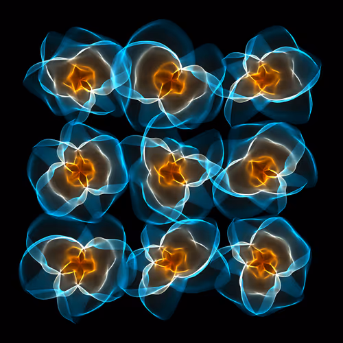 Flowers #3224