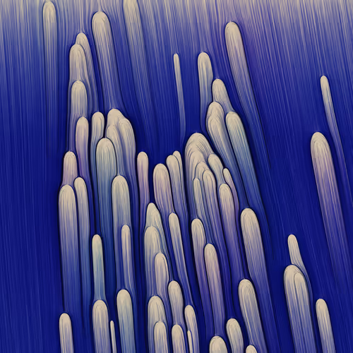 Item #271000014 Media