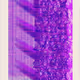 365000078