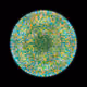 117002578