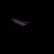 60000071