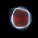 116005216