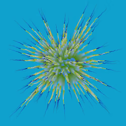 Star Flower #145