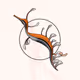 Seadragons #772