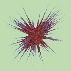 Star Flower #351