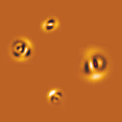Quantum Collapses #194
