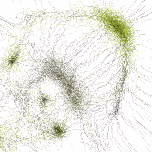 Item #164000277 Media