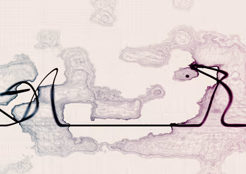 Item #328000309 Media