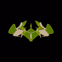 Cryptoblots #684