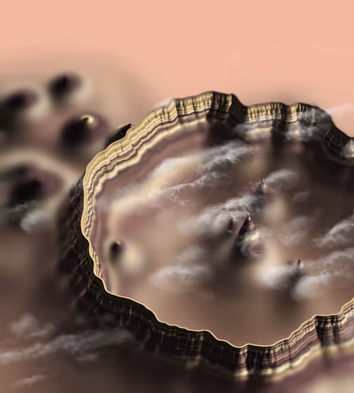 Item #291000027 Media