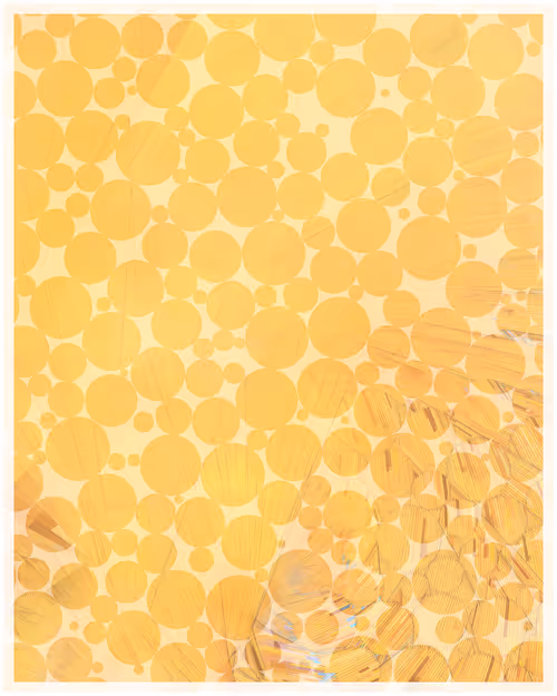 Item #344000111 Media