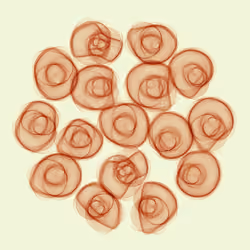 Flowers #5342