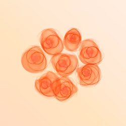 Flowers #5315