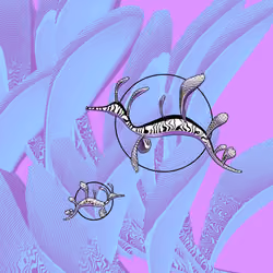 Seadragons #380
