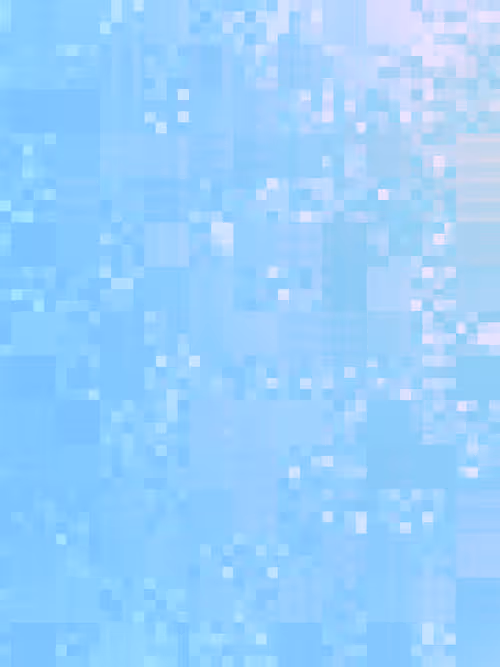 Item #332000208 Media