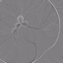 Phototaxis #643