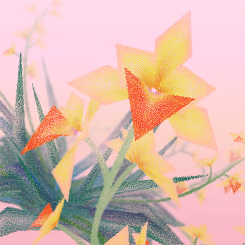 Cattleya By Ben Snell