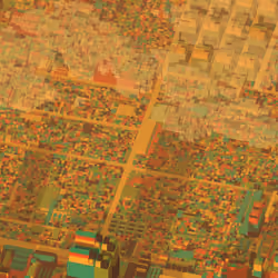Democracity #602
