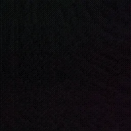 phase #339