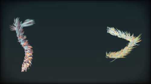 Item #201000010 Media