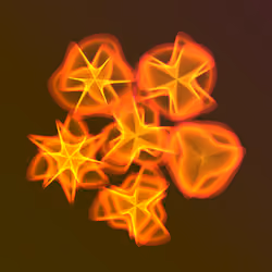 Flowers #5781