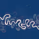 284000907
