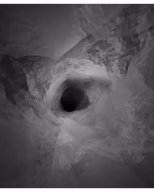 Item #217000362 Media