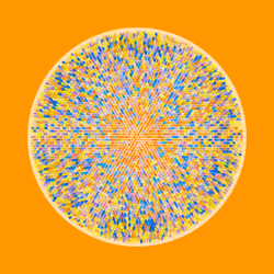 Transitions #3643