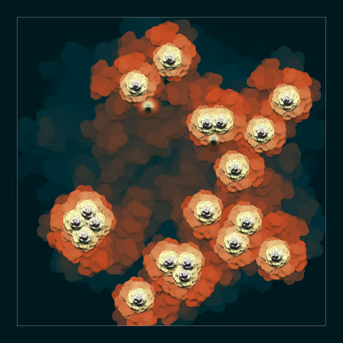 Item #103000139 Media