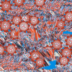 Fragments of an Infinite Field #824