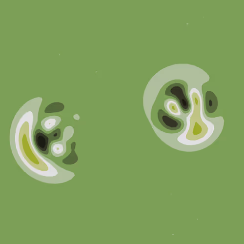 Quantum Collapses By Insight