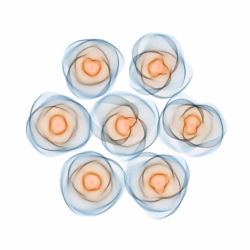 Item #116002551 Media