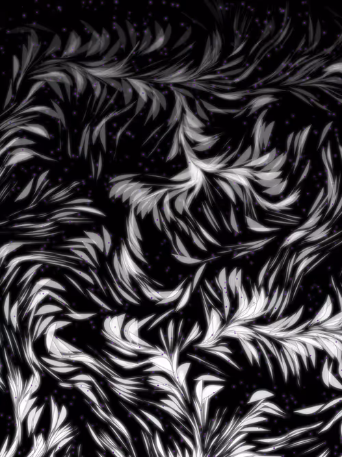 Item #270000156 Media