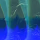 278000692
