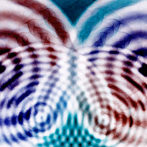 Item #236000009 Media