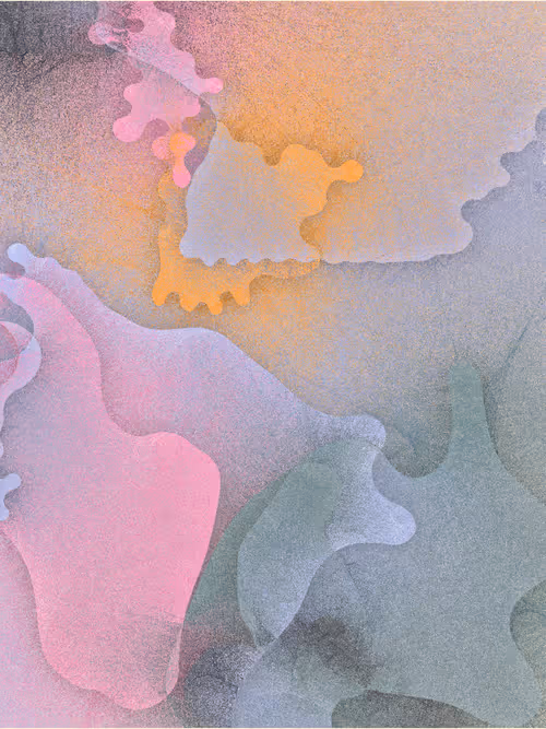 Item #256000459 Media