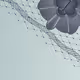 152000946