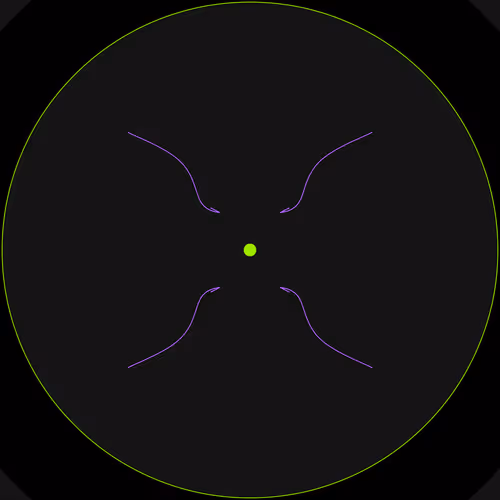 Petri By Fabin Rasheed