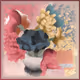 233000314