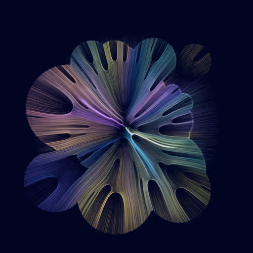 Gravity 16 #889