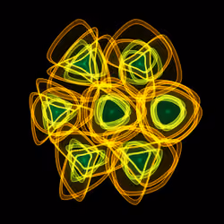 Flowers #3762