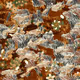 159000726