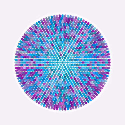 Transitions By Jason Ting X Matt Bilfield