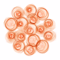 Flowers #4813