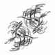 Seadragons #754