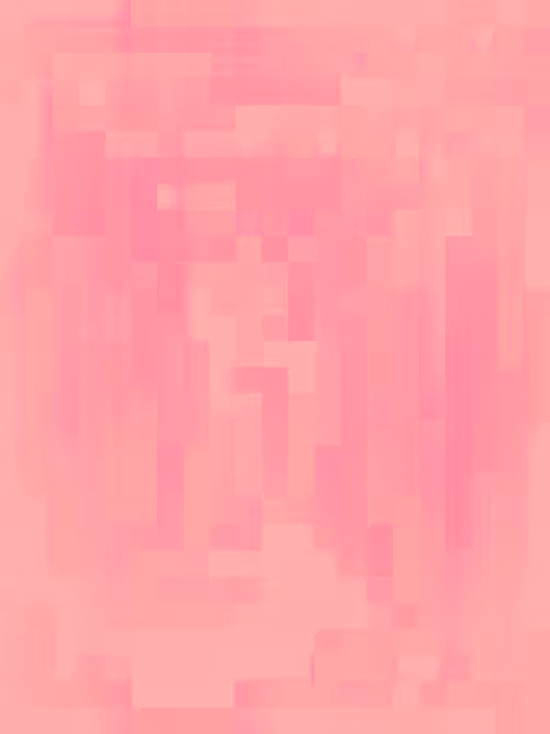 Item #332000167 Media