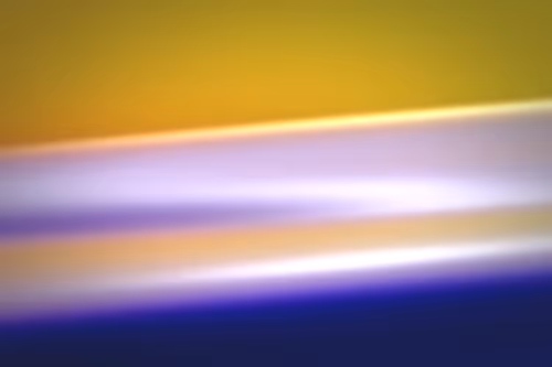 Item #296000156 Media