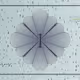 152000309